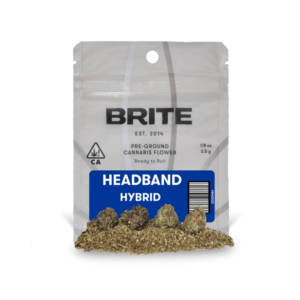 Brite headband
