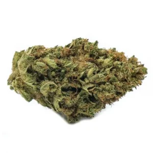 purchase Cold Creek Kush purchase Cold Creek Kushpurchase Cold Creek Kushpurchase Cold Creek Kushpurchase Cold Creek Kushpurchase Cold Creek Kushpurchase Cold Creek Kushpurchase Cold Creek Kushpurchase Cold Creek Kushpurchase Cold Creek Kushpurchase Cold Creek Kushpurchase Cold Creek Kushpurchase Cold Creek Kushpurchase Cold Creek Kushpurchase Cold Creek Kushpurchase Cold Creek Kushpurchase Cold Creek Kushpurchase Cold Creek Kushpurchase Cold Creek Kushpurchase Cold Creek Kushpurchase Cold Creek Kushpurchase Cold Creek Kushpurchase Cold Creek Kushpurchase Cold Creek Kushpurchase Cold Creek Kushpurchase Cold Creek Kushpurchase Cold Creek Kushpurchase Cold Creek Kush buy Cold Creek Kush buy Cold Creek Kush buy Cold Creek Kush buy Cold Creek Kush buy Cold Creek Kush buy Cold Creek Kush buy Cold Creek Kush buy Cold Creek Kush buy Cold Creek Kush