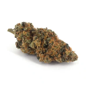 Animal Cookies (AAAA)