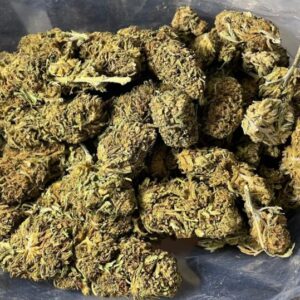 Budget $45 Oz – Greenhouse B-52