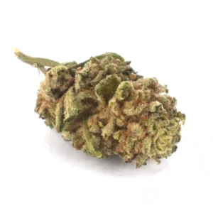 Cookie Monster (AA)