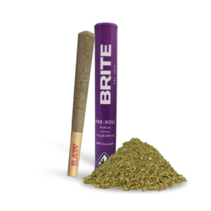 Brite Pre rolls Kushlato [1G]