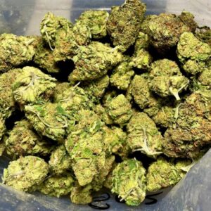 Budget $67 Oz -GRiZ Kush