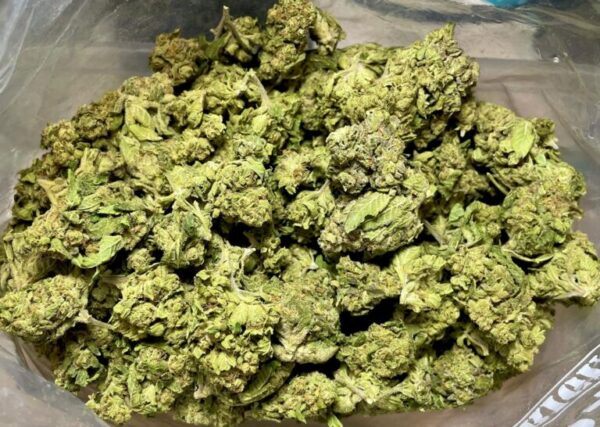Budget $67 Oz -Powderhound
