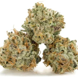 Buy Wedding Cake online Buy Wedding Cake online Buy Wedding Cake online Buy Wedding Cake online Buy Wedding Cake online Buy Wedding Cake online Buy Wedding Cake online Buy Wedding Cake online Buy Wedding Cake online Buy Wedding Cake online Buy Wedding Cake online Buy Wedding Cake online Buy Wedding Cake online Buy Wedding Cake online Buy Wedding Cake online Wedding Cake strain for sale Order Wedding Cake discreetly Order Wedding Cake discreetly Order Wedding Cake discreetly Order Wedding Cake discreetly Order Wedding Cake discreetly Order Wedding Cake discreetly Order Wedding Cake discreetly Order Wedding Cake discreetly Order Wedding Cake discreetly Order Wedding Cake discreetly Order Wedding Cake discreetly Order Wedding Cake discreetly Order Wedding Cake discreetly Order Wedding Cake discreetly Order Wedding Cake discreetly Order Wedding Cake discreetly Order Wedding Cake discreetly Order Wedding Cake discreetly Order Wedding Cake discreetly Order Wedding Cake discreetly Order Wedding Cake discreetly Order Wedding Cake discreetly Order Wedding Cake discreetly Order Wedding Cake discreetly Order Wedding Cake discreetly Order Wedding Cake discreetly Order Wedding Cake discreetly